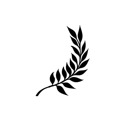 Elegante minimalistische tak