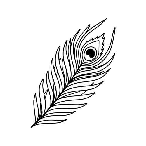 Pauwenveer