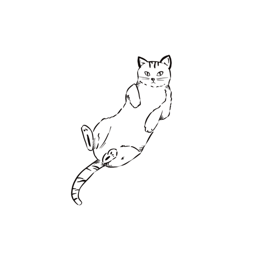 Minimalistische kat