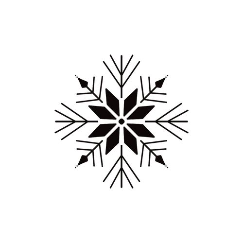Sneeuwvlok