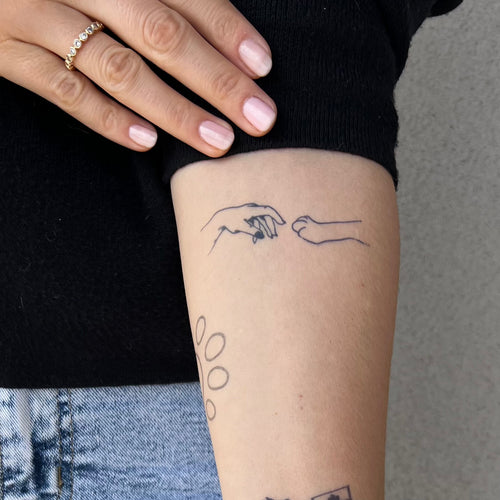 Hondenpoot en -hand