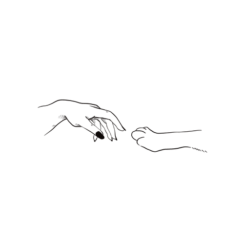 Hondenpoot en -hand
