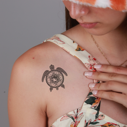 Spirituele schildpad