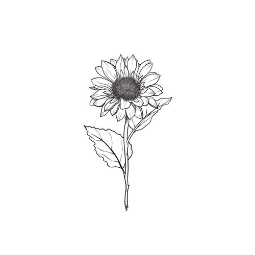 Zonnebloem tattoo