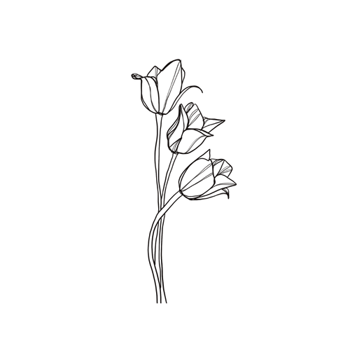 Tulp tattoo