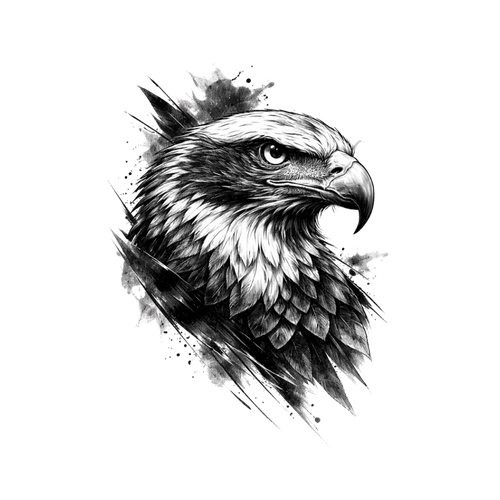 Aigle noir