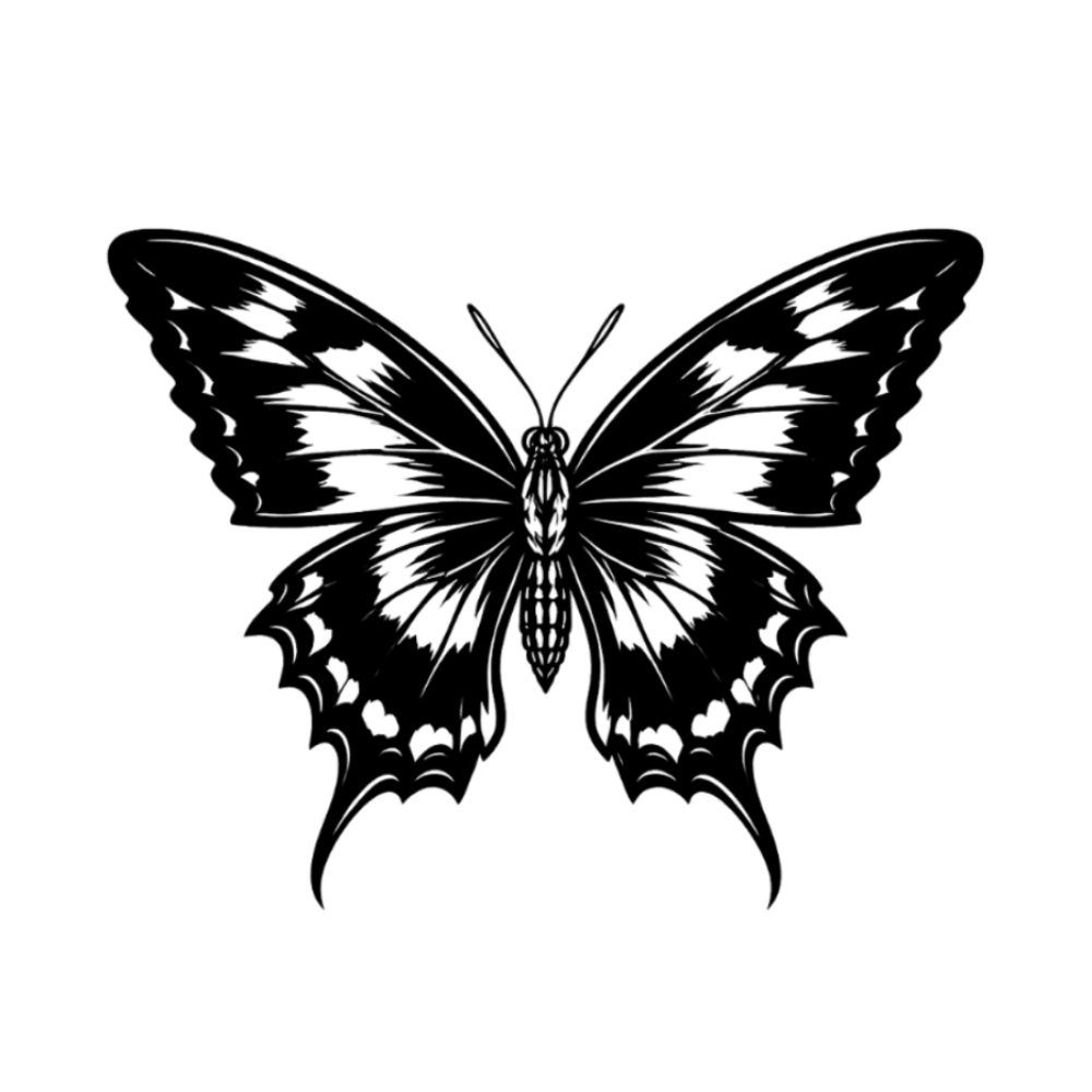 Papillon noir
