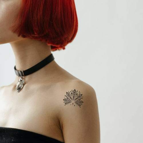 Lotus étoile