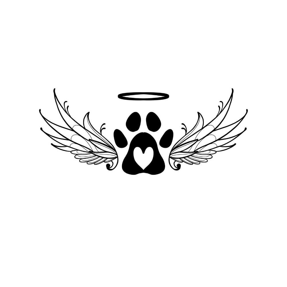 Patte d'ange