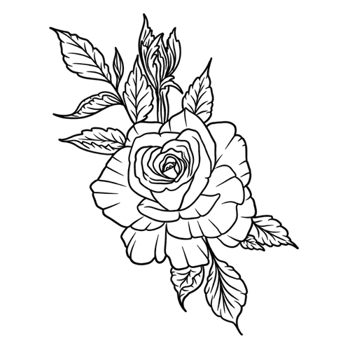 Eeuwige roos