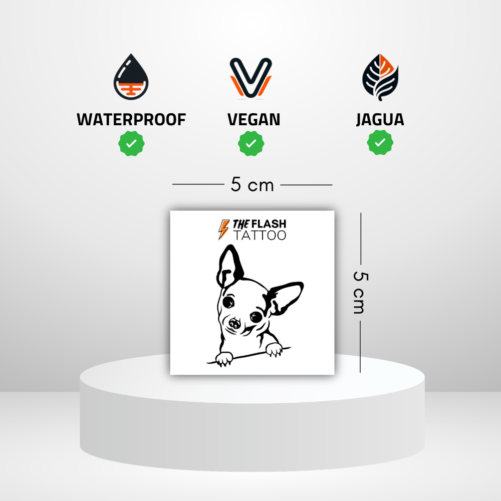 Tatouage ephemere chihuahua